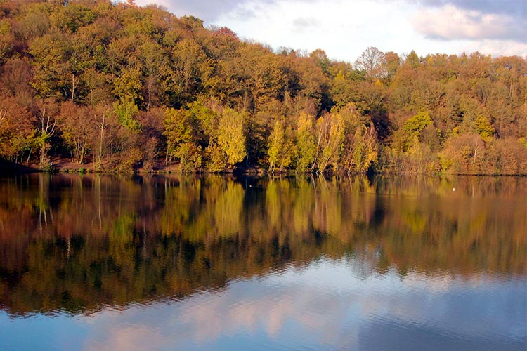 Cerfontaine aire pour camping-cars lac forêt