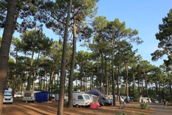 Campsite service area - Vendays-Montalivet