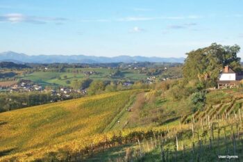 Monein vineyard landscape