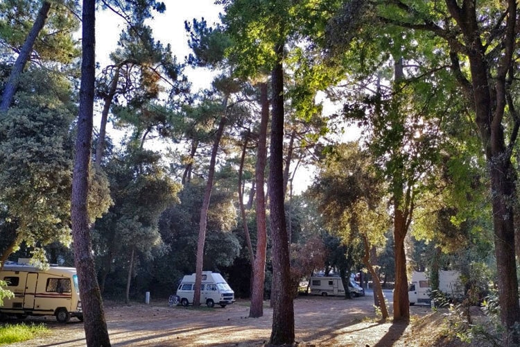 Le Grand-Village-Plage aire pour camping-cars