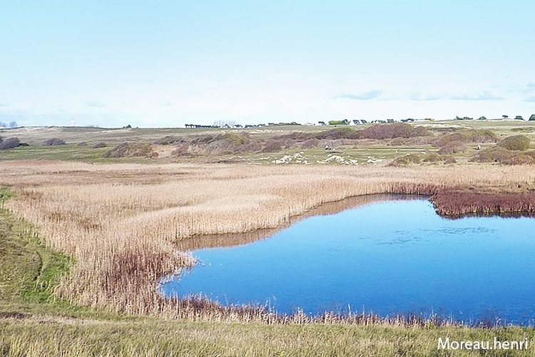 Photo de Erdeven : l'étang et les marais de Kerminihy vus depuis les dunes du littoral.