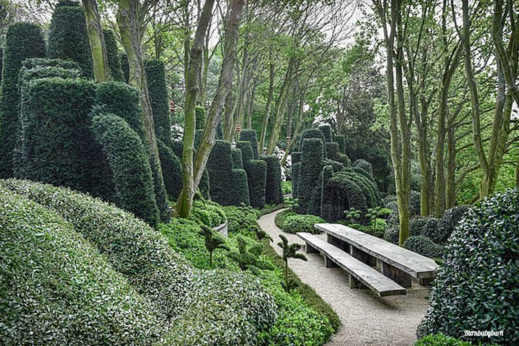 Photo jardin d'Etretat