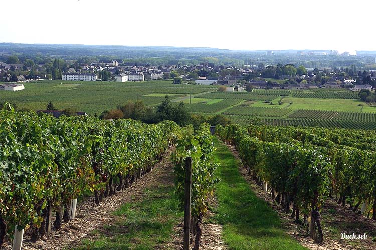 photo bourgueil aire pour camping cars vigne