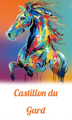 affiche Castillon du Gard