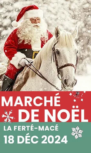 Ferté-macé marché de noel 2024