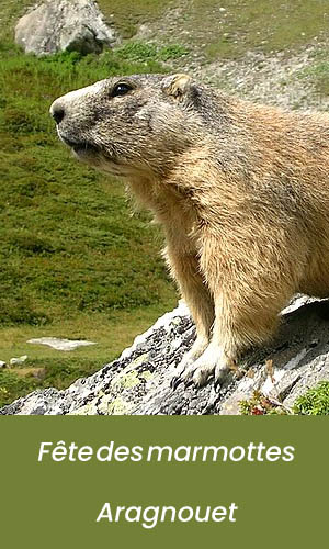 Aragnouet fête des marmottes