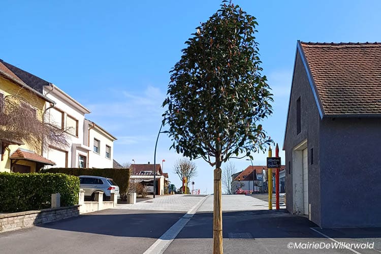 Willerwald aire pour camping-cars